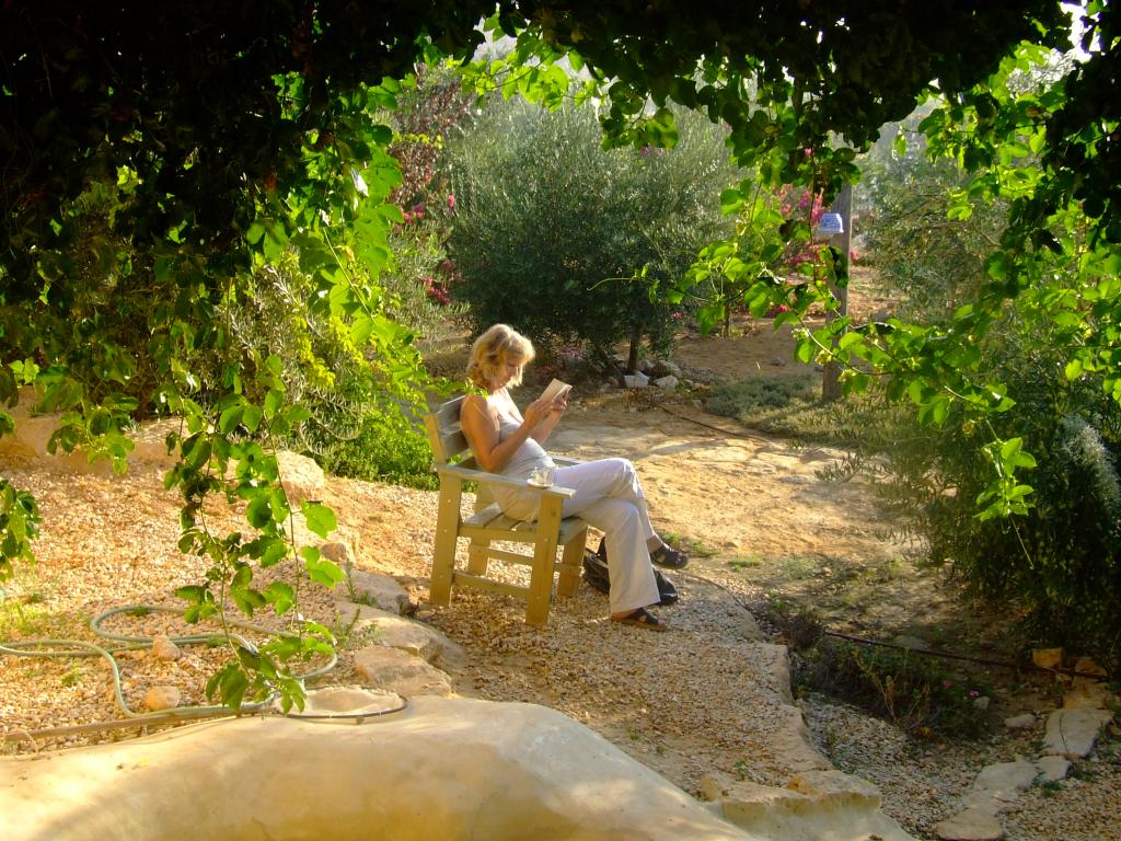 Carmey avdat Negev deserta morning reading - you can only be inspired!